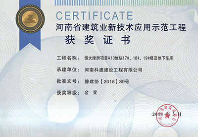 “恒大綠洲項(xiàng)目A10地塊17#、18#、19#樓及地下車庫工程”榮獲“河南省建筑業(yè)新技術(shù)應(yīng)用示范工程”金獎